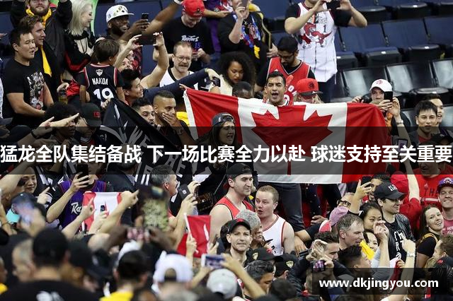 猛龙全队集结备战 下一场比赛全力以赴 球迷支持至关重要