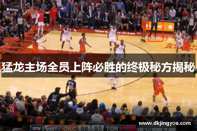 猛龙主场全员上阵必胜的终极秘方揭秘