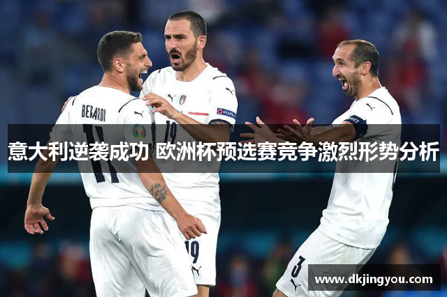 意大利逆袭成功 欧洲杯预选赛竞争激烈形势分析