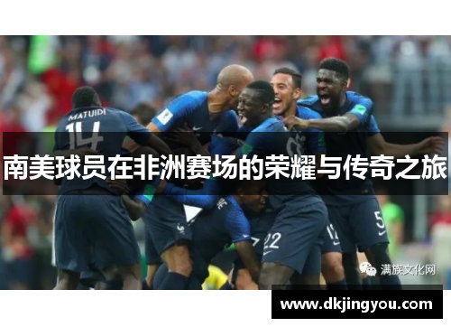 南美球员在非洲赛场的荣耀与传奇之旅