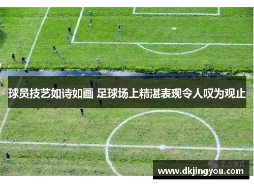 球员技艺如诗如画 足球场上精湛表现令人叹为观止