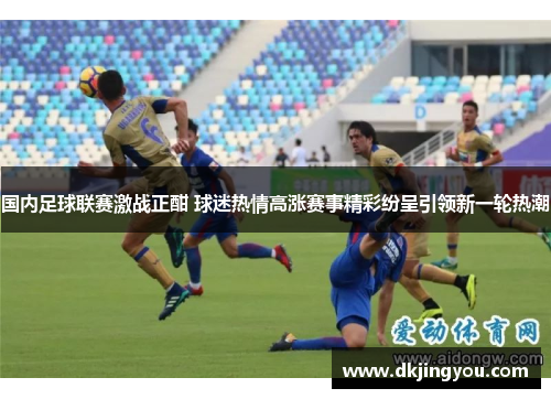 国内足球联赛激战正酣 球迷热情高涨赛事精彩纷呈引领新一轮热潮