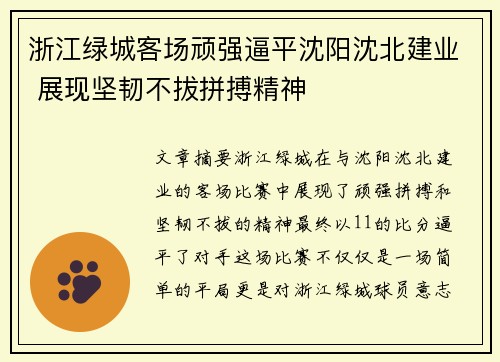 浙江绿城客场顽强逼平沈阳沈北建业 展现坚韧不拔拼搏精神