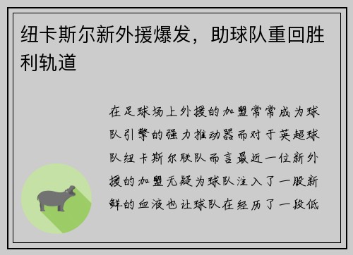 纽卡斯尔新外援爆发，助球队重回胜利轨道