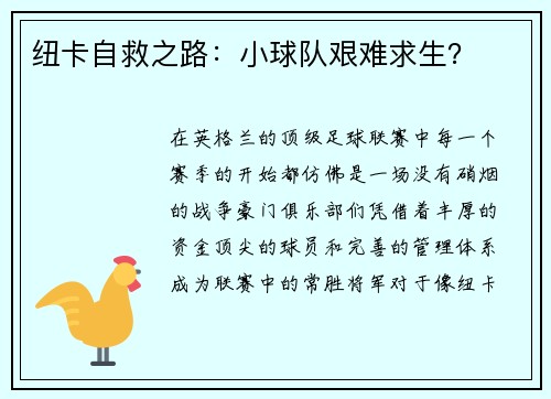 纽卡自救之路：小球队艰难求生？