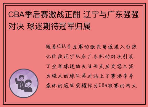 CBA季后赛激战正酣 辽宁与广东强强对决 球迷期待冠军归属